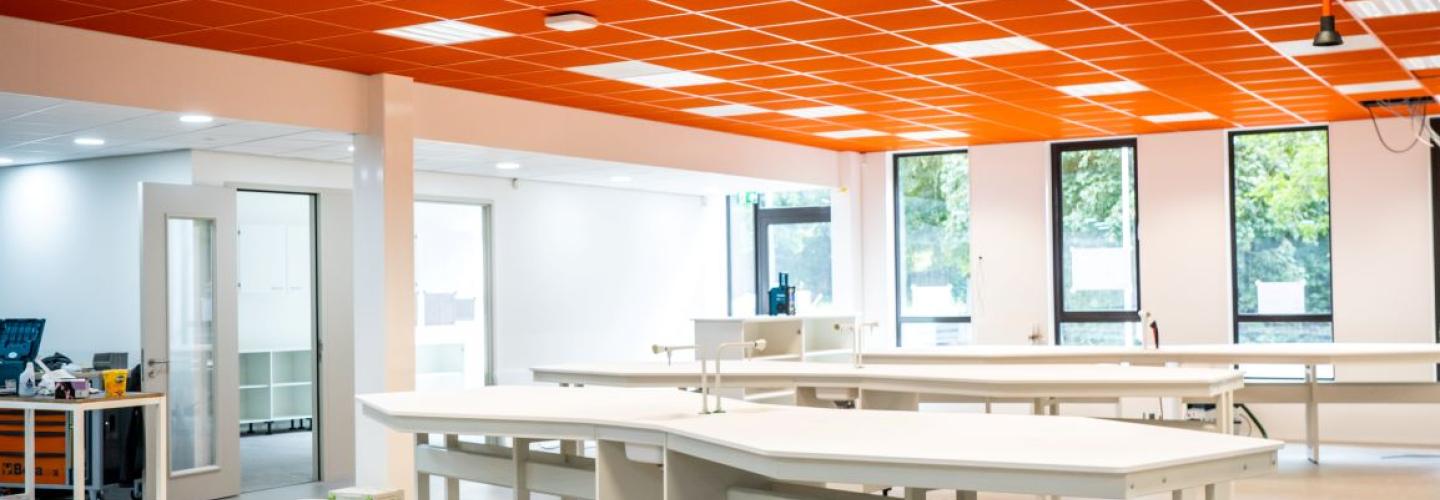 Acoustically lively ceiling tiles in a classroom.