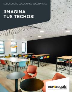¡Imagina tus techos!