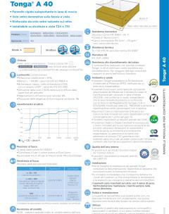 TDSTongaA40.pdf