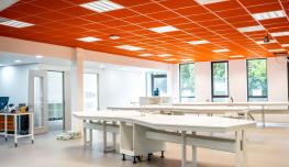 Acoustically lively ceiling tiles in a classroom.