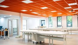 An orange-colored acoustic ceiling structures the volumes of an interior space.