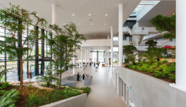 Grand hall intérieur lumineux avec plafond acoustique blanc, larges baies vitrées, colonnes blanches et espaces végétalisés avec arbres et plantes, autour de zones de circulation et d’accueil dans un bâtiment moderne.
