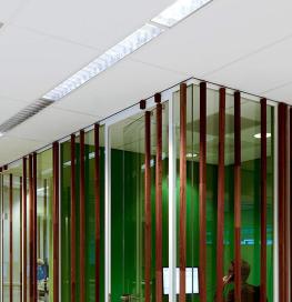 Acoustic ceiling tiles in a town hall.