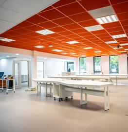 Acoustically lively ceiling tiles in a classroom.