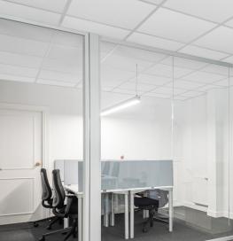 Office with acoustic insulation on the ceilings