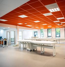 An orange-colored acoustic ceiling structures the volumes of an interior space.