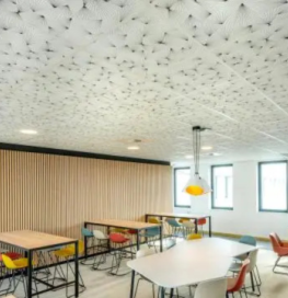 Eurodesign ceilling