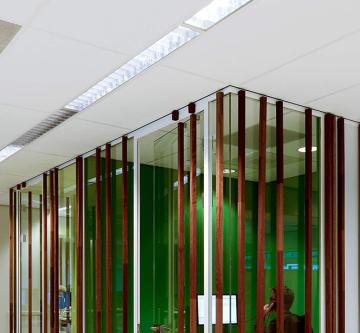 Acoustic ceiling tiles in a town hall.