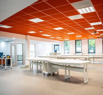 An orange-colored acoustic ceiling structures the volumes of an interior space.