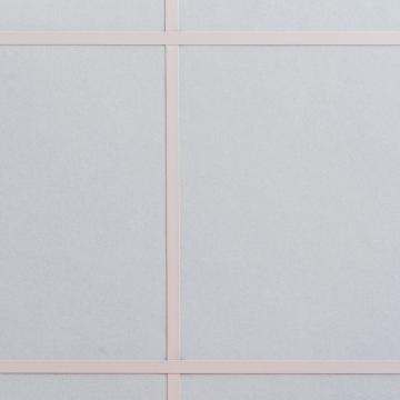 Salon, hotel de luxe, plafond modulaire blanc 