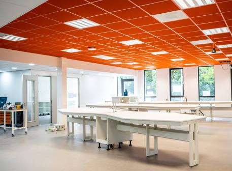 An orange-colored acoustic ceiling structures the volumes of an interior space.