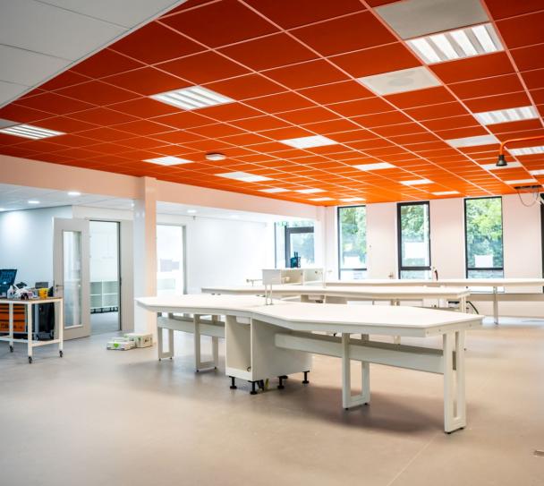 Acoustically lively ceiling tiles in a classroom.