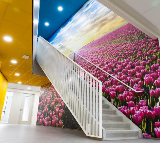 Saint Gobain - Terra College-13