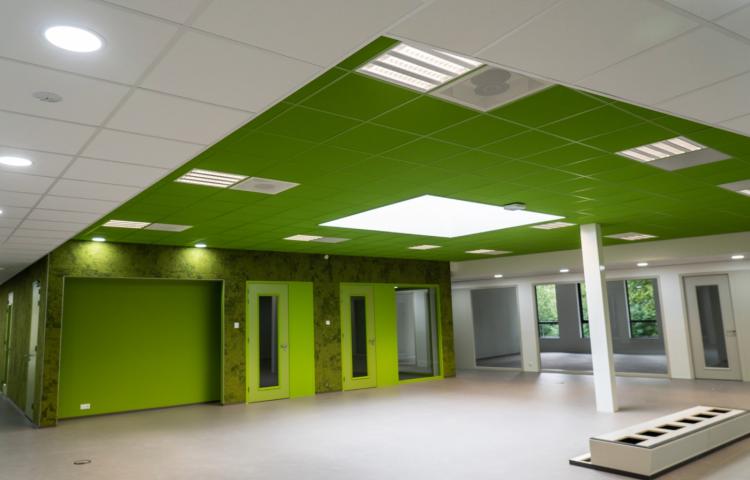 Pièce large avec plafond vert