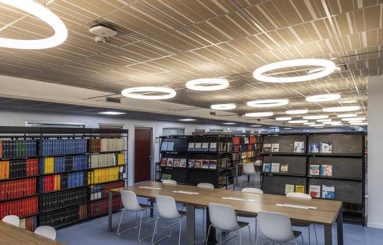 faux plafond design dans une bibliothèque moderne